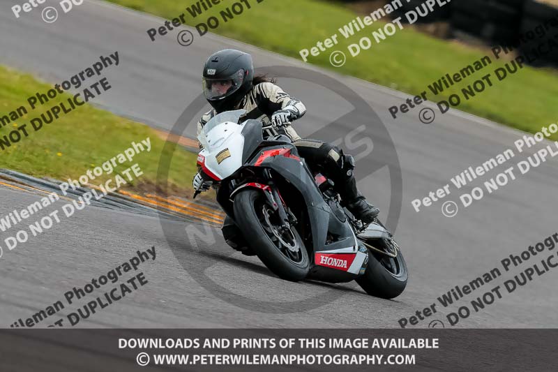 PJ Motorsport 2019;anglesey no limits trackday;anglesey photographs;anglesey trackday photographs;enduro digital images;event digital images;eventdigitalimages;no limits trackdays;peter wileman photography;racing digital images;trac mon;trackday digital images;trackday photos;ty croes